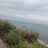 等风来20150927