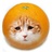 🍊