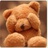 木鱼子bear
