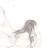 师傅养的猫