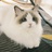 MU_leung