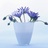 Miss Daisy