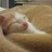 poul