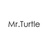 海龟先生