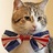 English Style