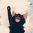 ConciseCat