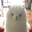 cocococo