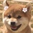 大脸猫