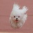 小虎子
