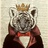 TigerTian雯爸