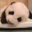  无奈小骨