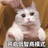 花都是羊