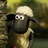 Shaun