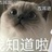 艺远
