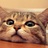 Miao 