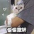 叶轻狂