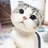 大脸猫