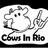 Cows in Rio