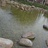 一浅剪水痕