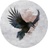 Muser Raven