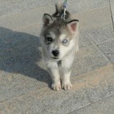 JIMMK二007