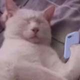 天黑请睁眼