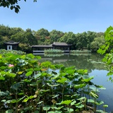 淼