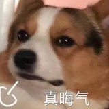 深山野墺