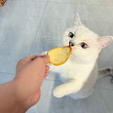 AAA心宇🎀💓💓💓