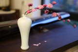 阳光