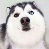 。。。。。。