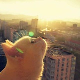 sunshine