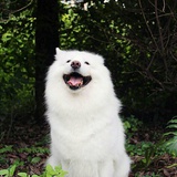 小炭