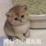 瑞