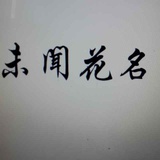 为什么这么二