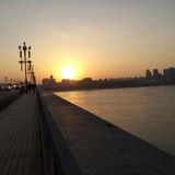 陳湘楚