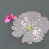 深蓝