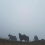 别你登长道