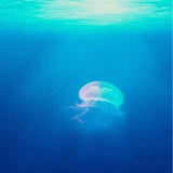 海灵