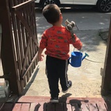 大型丸子