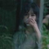 桑