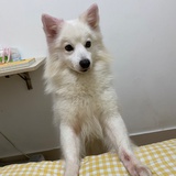 小白和我