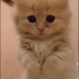 aaaaa