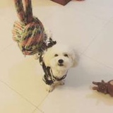 石榴zzf_
