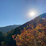 泊烟