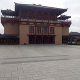 北方苍狼