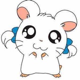 小鸥侠