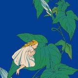 MissBroccoli