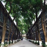 笨熊怪