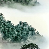 颇